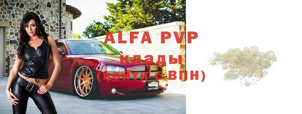 амф Богданович