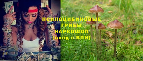 амф Богородицк