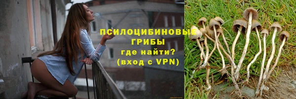 амф Богданович