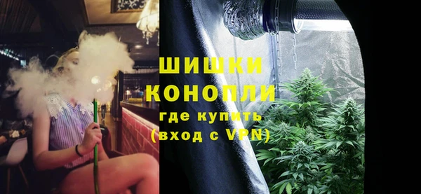 амф Богданович